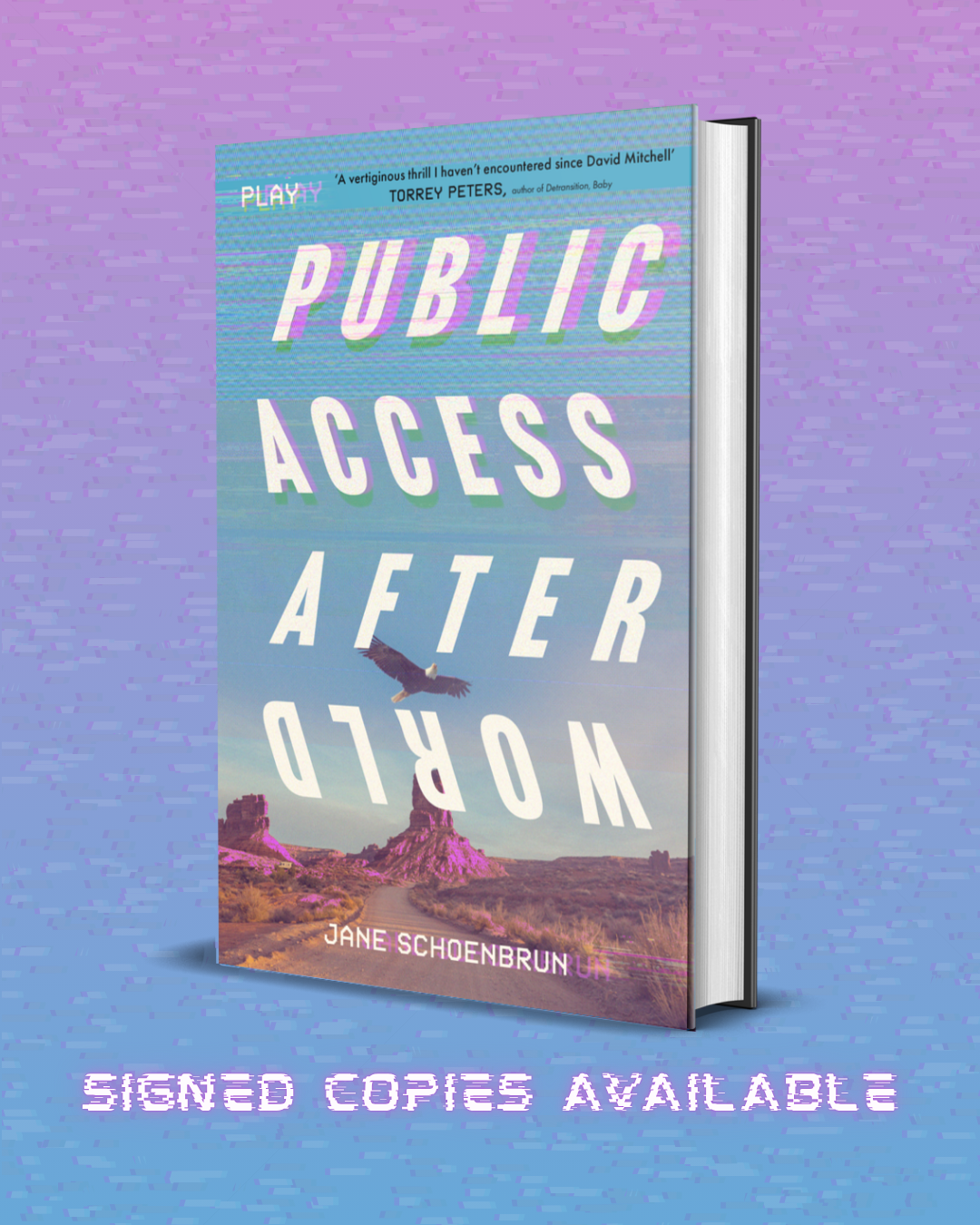 Public Access Afterworld by Jane Schoenbrun SIGNED