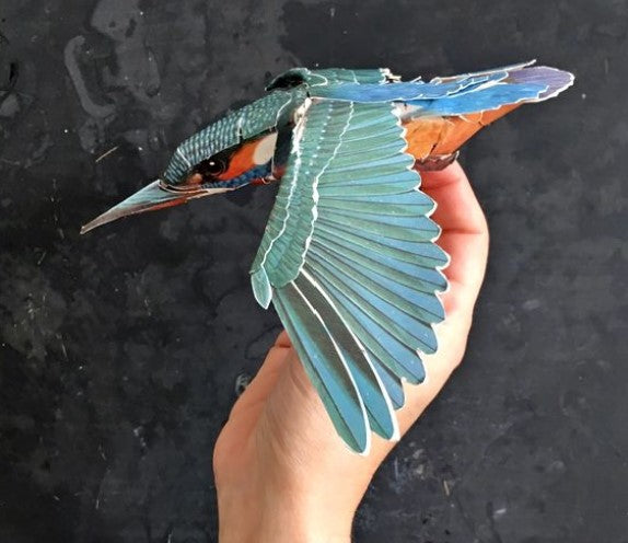Birdmobile